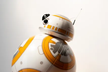 BingoFling Kazino Mobilioji programa